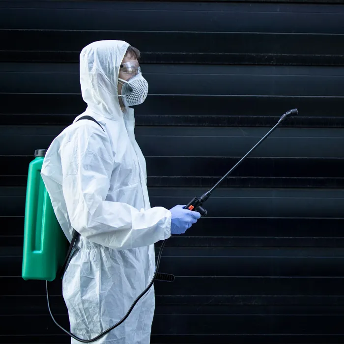 Motten-, Silberfisch- & Spinnenbekämpfung –