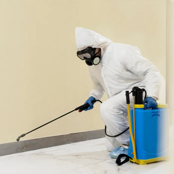 Kakerlakenbekämpfung