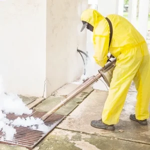 Wespen‑ & Hornissenabwehr