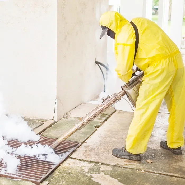 Wespen‑ & Hornissenabwehr